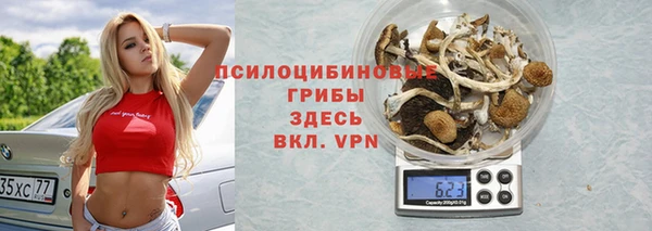 винт Баксан