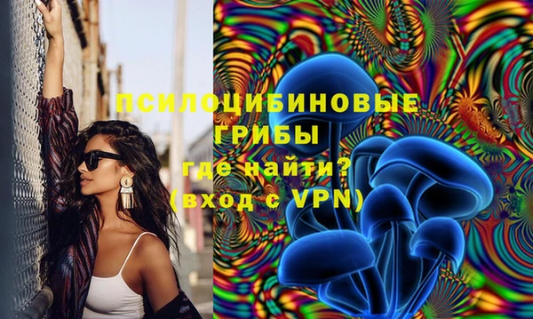 винт Баксан