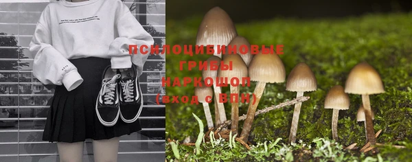винт Баксан